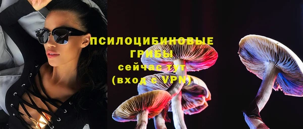 ешки Алексин