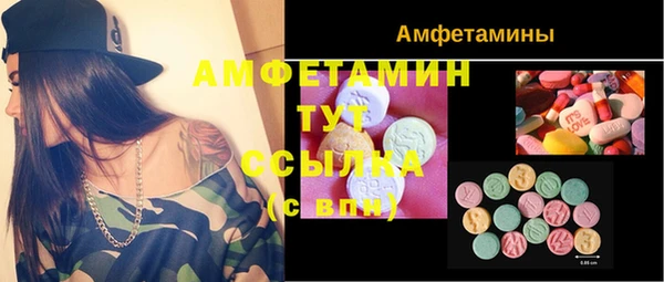 ешки Алексин