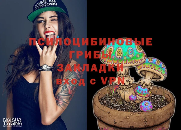 соль курить ск Алзамай