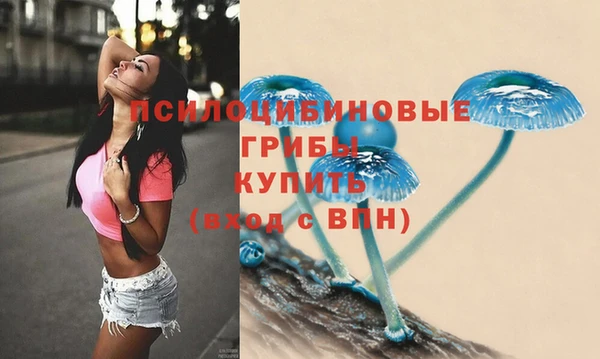 прущий лед Костерёво